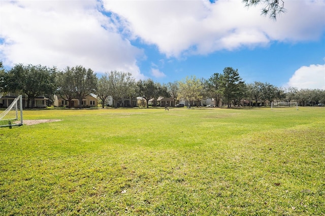 3304 Cat Brier Trl, Harmony, FL 34773 - view of yard