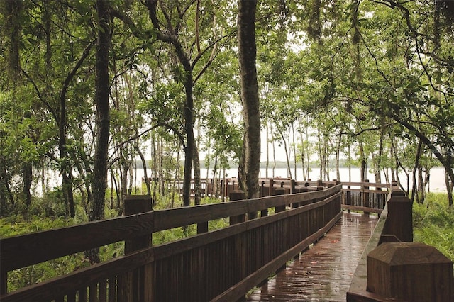 3304 Cat Brier Trl, Harmony, FL 34773 - view of community with a water view