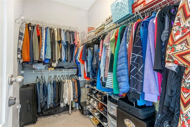 spacious closet featuring carpet flooring