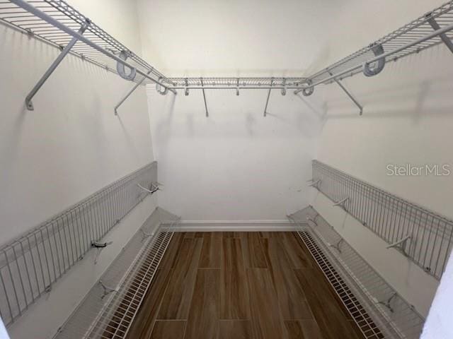 spacious closet featuring wood finished floors