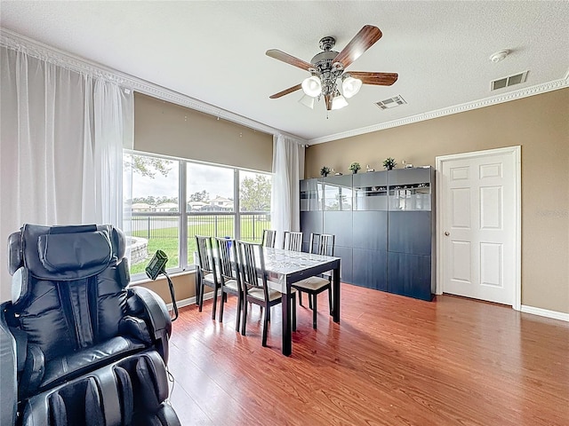 3010 Winding Trl, Kissimmee, FL 34746 - photo 16