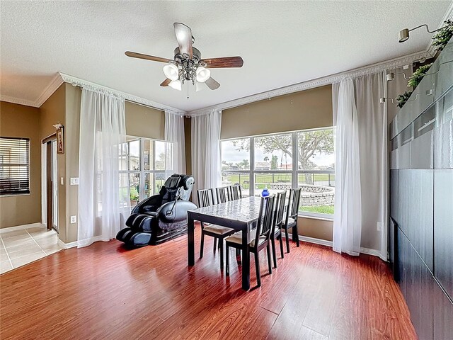 3010 Winding Trl, Kissimmee, FL 34746 - photo 17