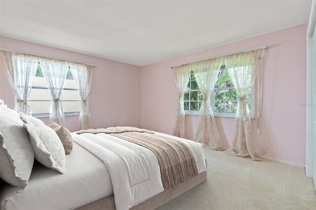 6100 Alligator Lake Shr W, Saint Cloud, FL 34771 - photo 40