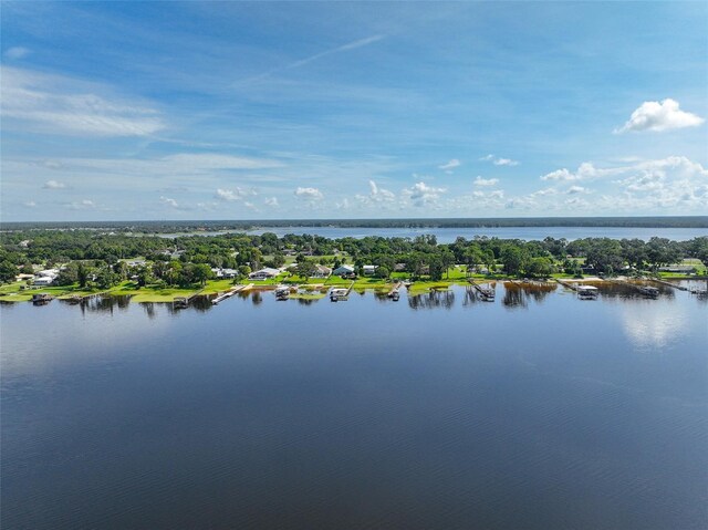 6100 Alligator Lake Shr W, Saint Cloud, FL 34771 - photo 58