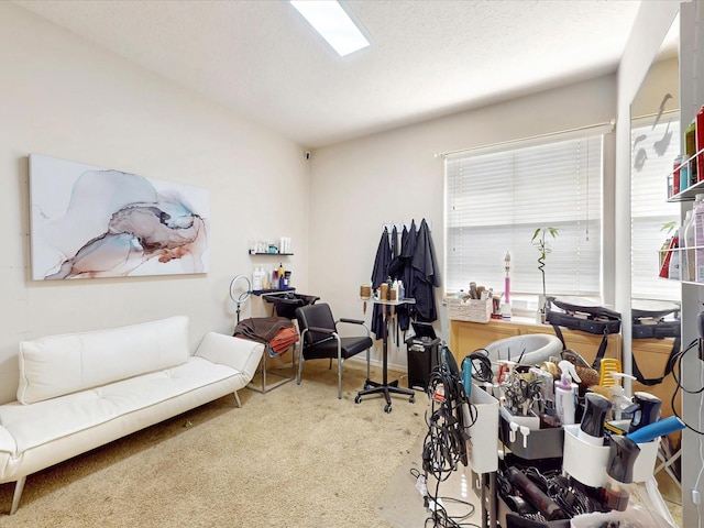 1718 Golfview Dr, Kissimmee, FL 34746 - office area featuring carpet floors, a wealth of natural light, and a textured ceiling