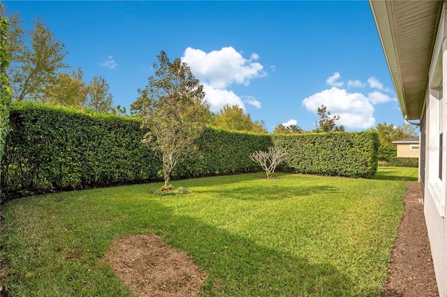 2460 Promenade Dr, Saint Cloud, FL 34772 - photo 23