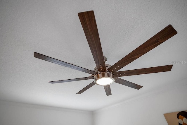 interior details featuring ceiling fan