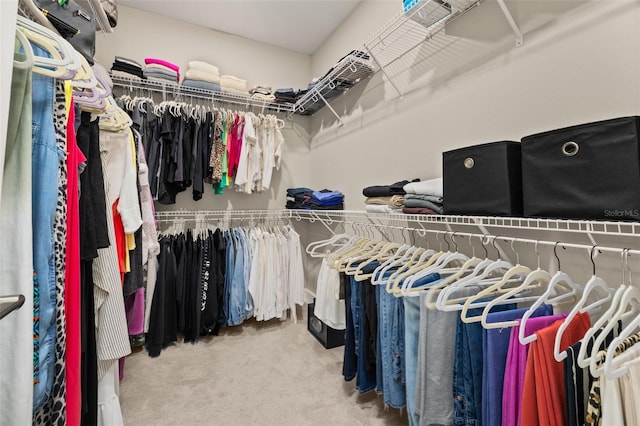 spacious closet featuring carpet flooring