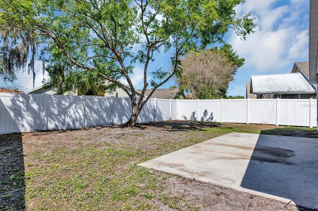 view of yard with a patio area and a fenced backyard