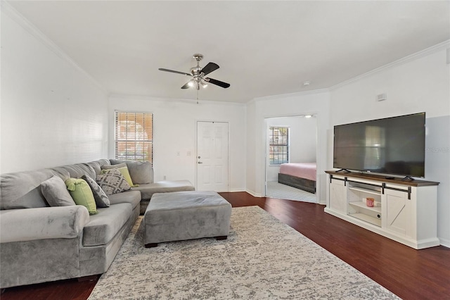 living room featuring ornamental molding, ceiling fan, dark wood-type flooring, and baseboards