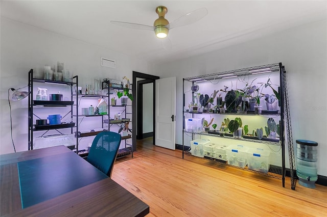 office space with visible vents, ceiling fan, and wood finished floors