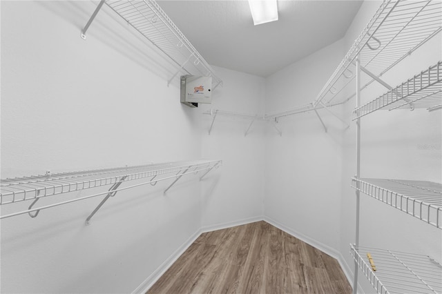 spacious closet featuring wood finished floors