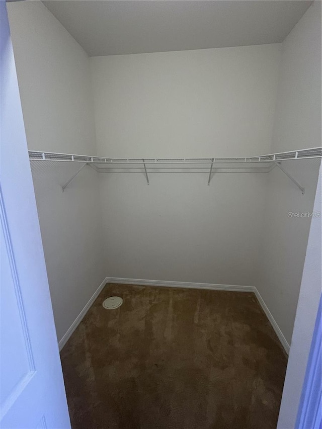 spacious closet with dark colored carpet