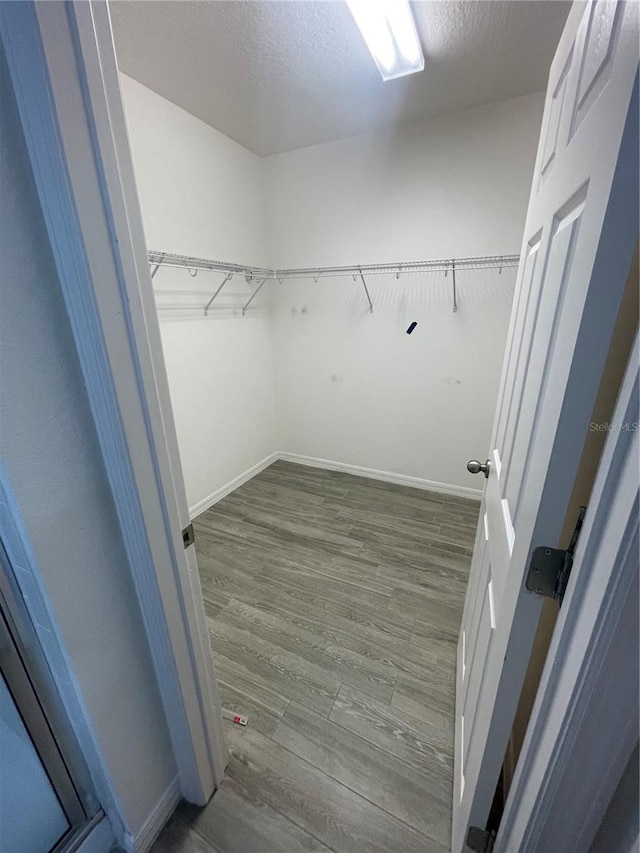 walk in closet featuring dark wood finished floors