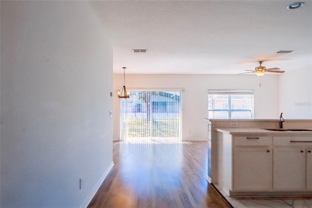 kitchen featuring light wood-style floors, visible vents, a sink, and a textured ceiling