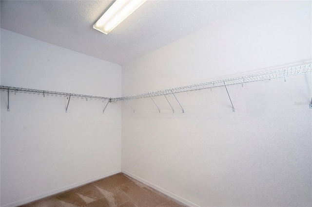 walk in closet featuring light colored carpet