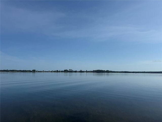 3607 Hidden River Ln, Tavares, FL 32778 - water view