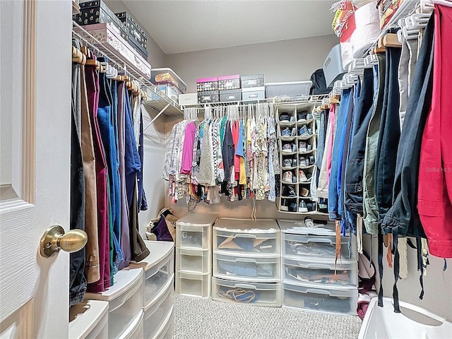 view of spacious closet