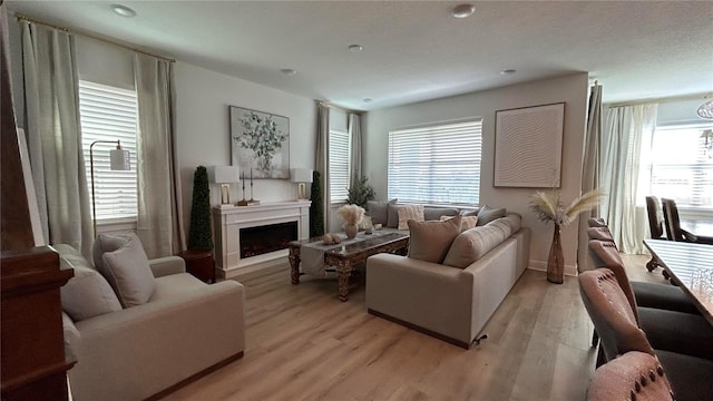 living area featuring light wood finished floors and a fireplace