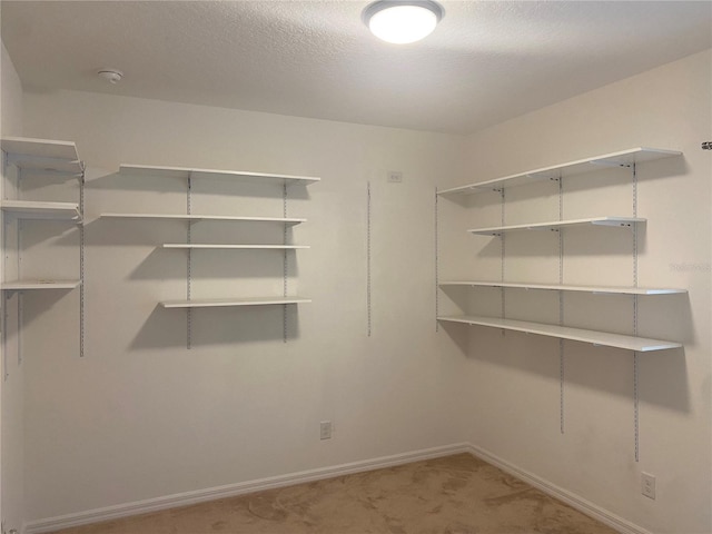 spacious closet with carpet floors