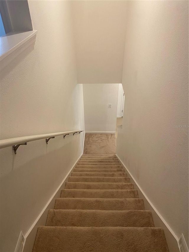 staircase with carpet floors