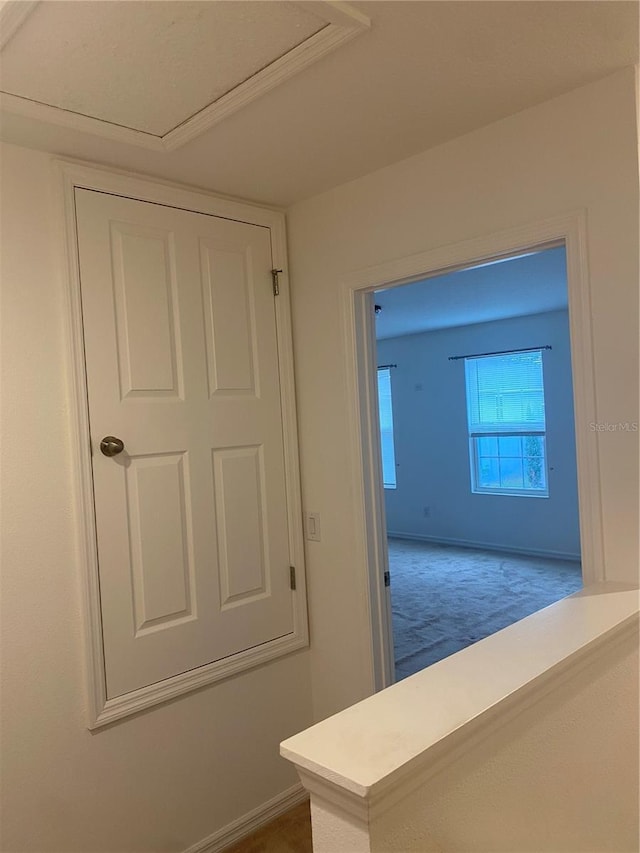 hallway featuring baseboards and carpet floors