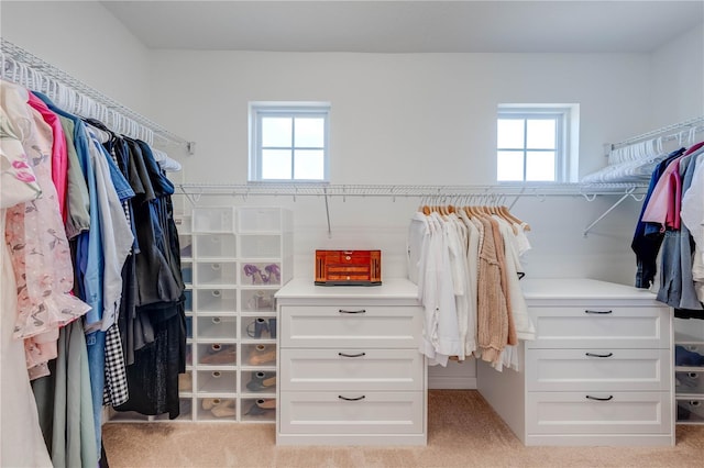 walk in closet featuring light carpet