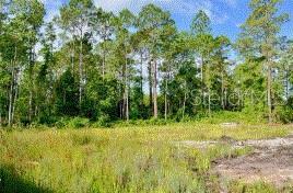 1347 E Pkwy, Deland FL, 32724 land for sale