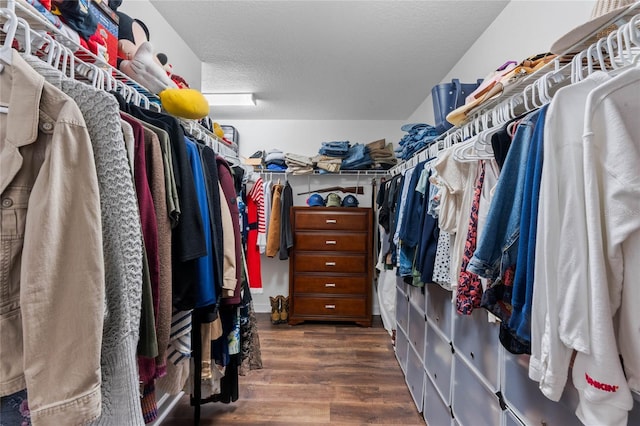 walk in closet featuring wood finished floors