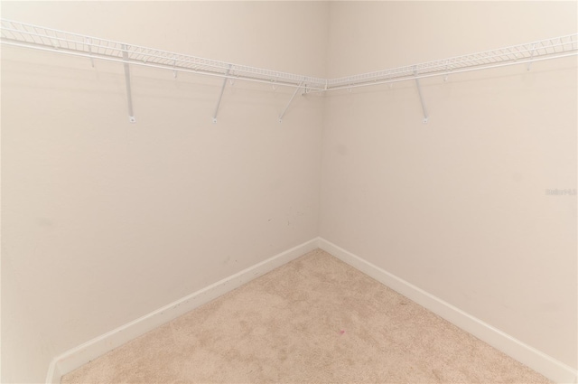 spacious closet with light colored carpet