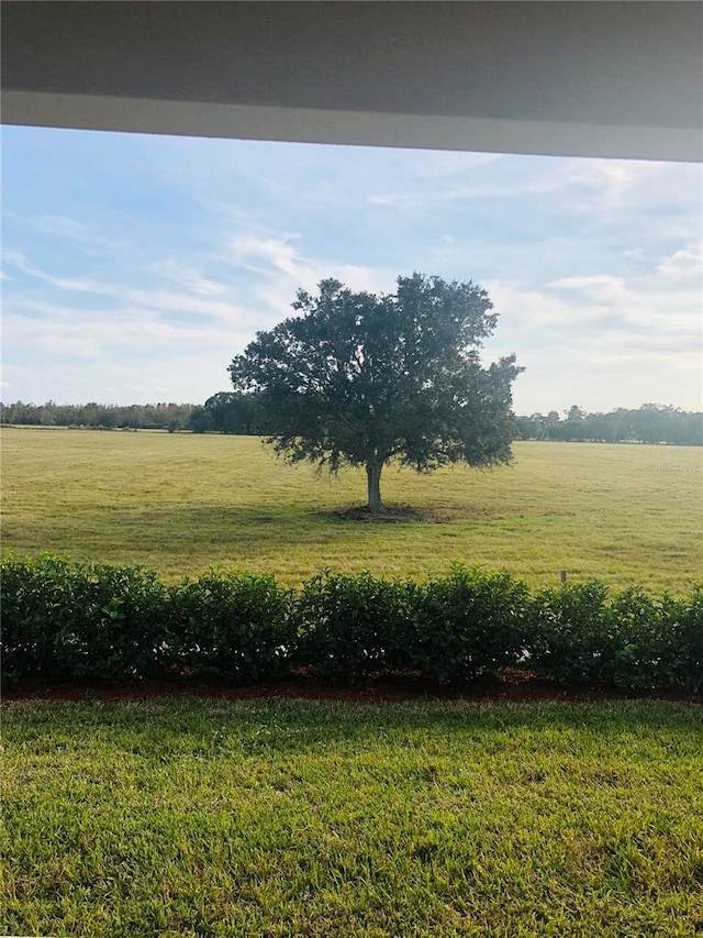 view of yard featuring a rural view