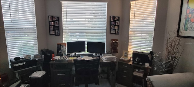 home office with a healthy amount of sunlight