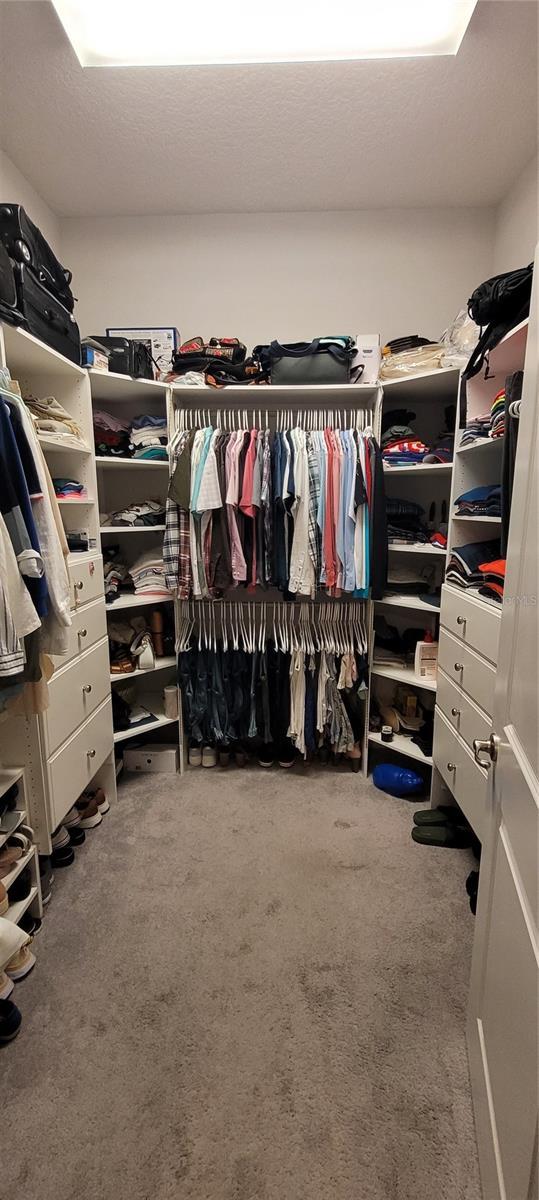 spacious closet featuring carpet floors