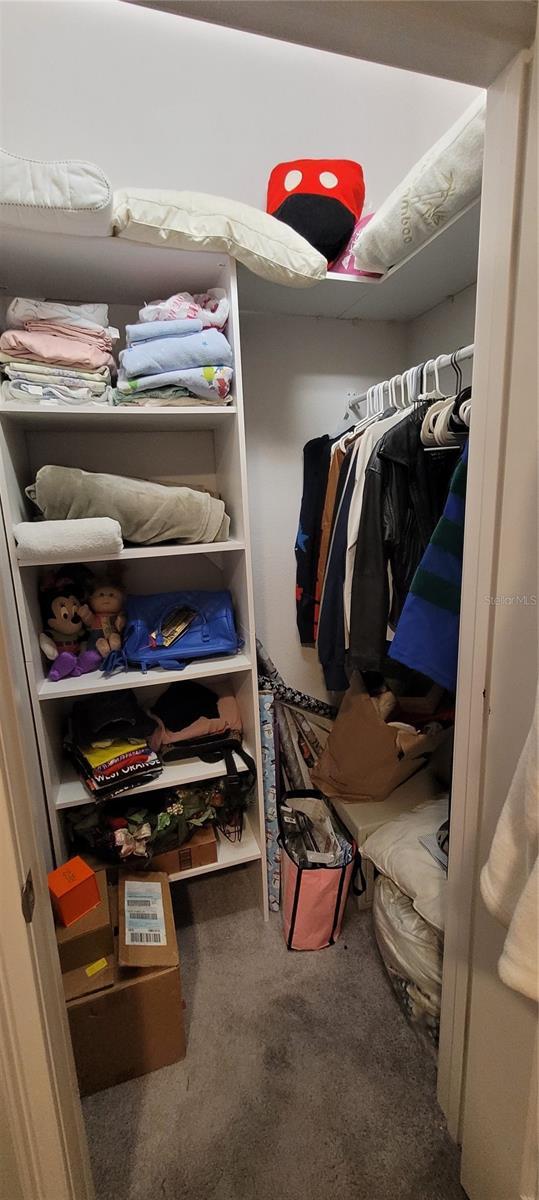 spacious closet with carpet