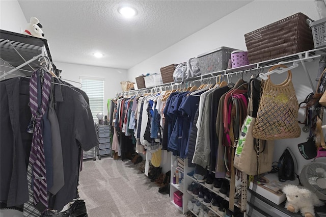 spacious closet featuring carpet