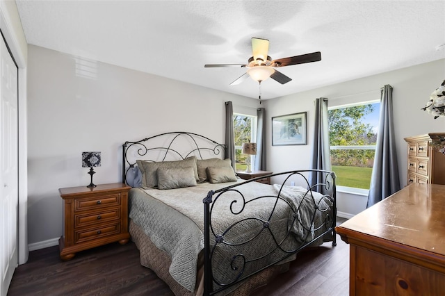 bedroom featuring a closet, multiple windows, and dark wood finished floors