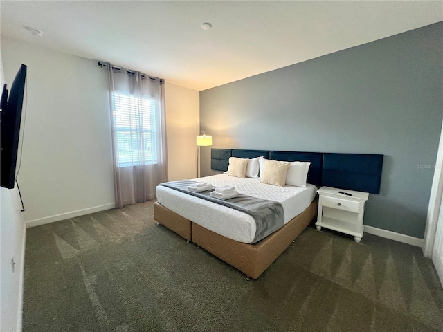 bedroom featuring baseboards and carpet