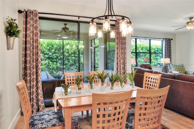 dining room with wood finished floors and ceiling fan