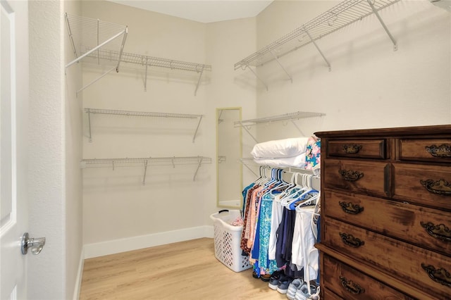 spacious closet featuring wood finished floors