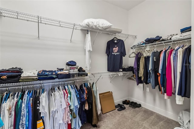 walk in closet with carpet