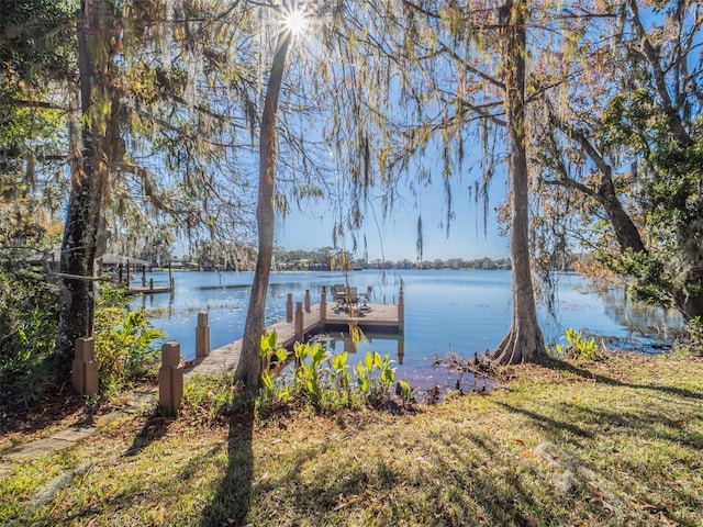 dock area featuring a water view