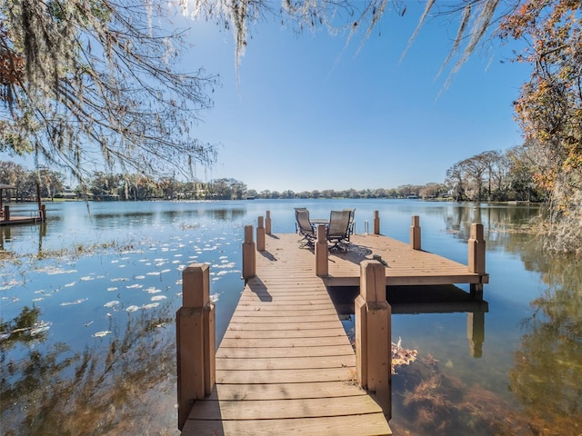 view of dock with a water view