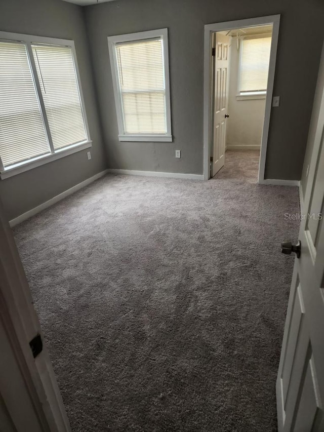 unfurnished bedroom with multiple windows, baseboards, and carpet floors