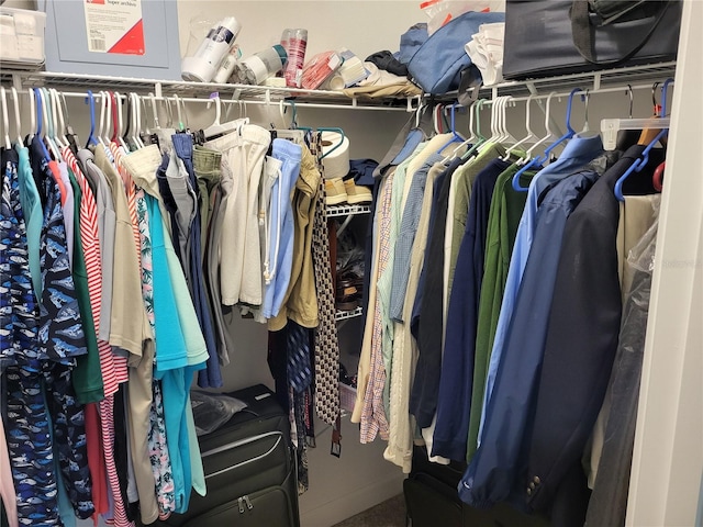 view of spacious closet