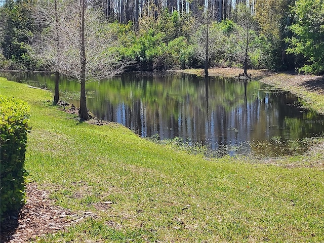 property view of water featuring a view of trees