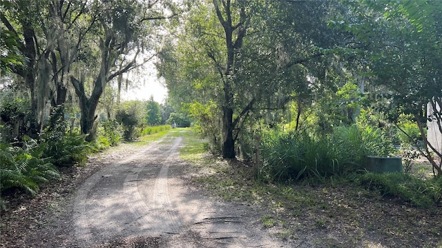 view of road featuring a view of trees