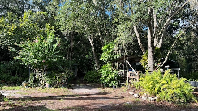 view of yard featuring a view of trees