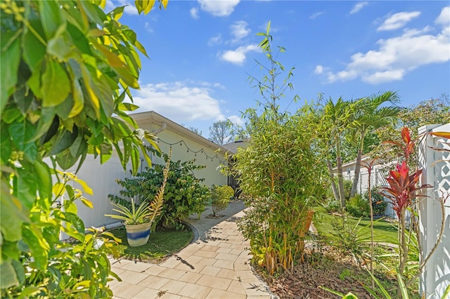 view of yard featuring a patio area and fence