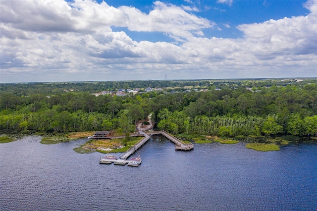 aerial view featuring a view of trees and a water view