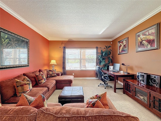 carpeted living area with crown molding, baseboards, and a textured ceiling